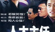 人大主任电视剧