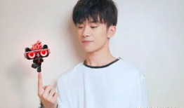 养网红男明星,颜值与才华的完美融合