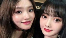 明星与网红的区别,揭秘两者间的差异与魅力